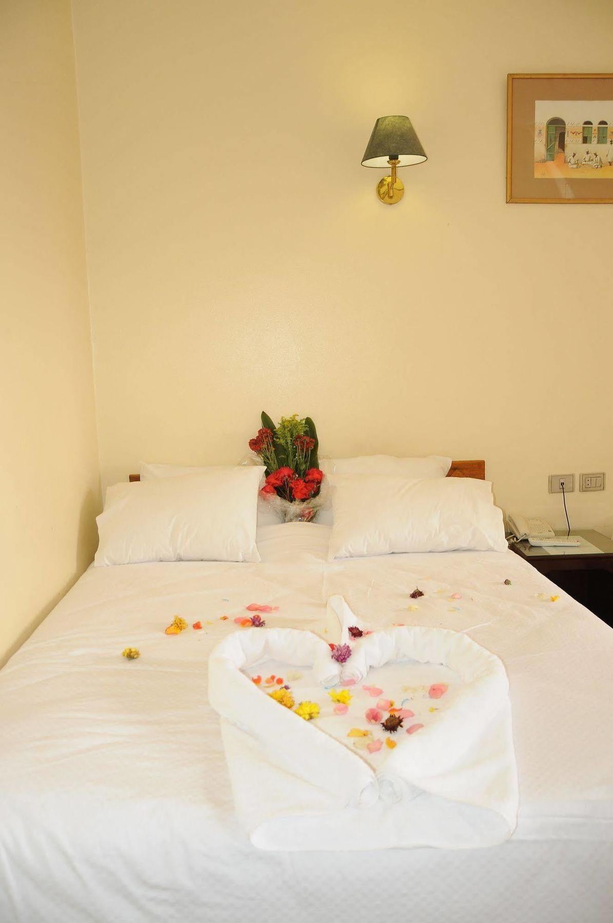 Nile Hotel Aswan Luaran gambar